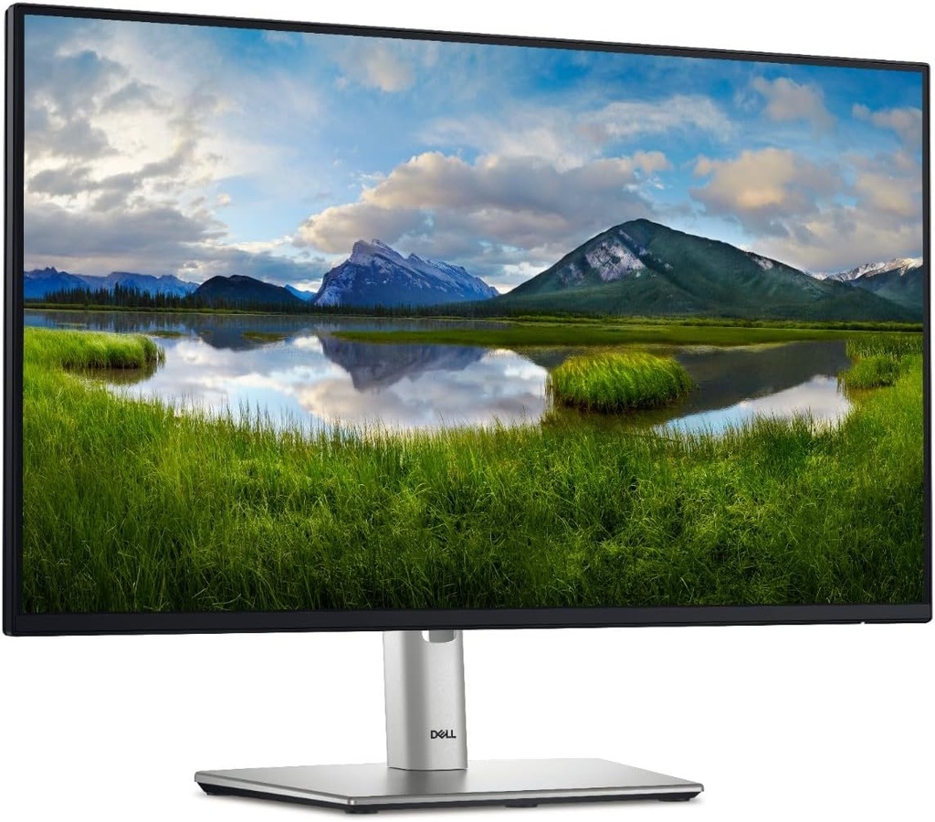  Écran Dell 24" - P2425HE